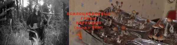 амф Беломорск