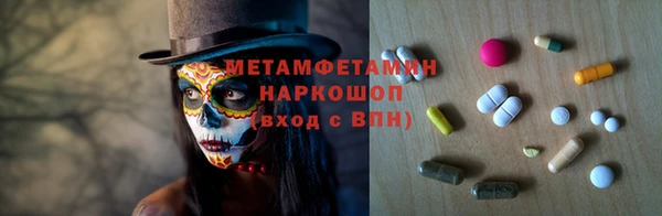 гидра Тавда