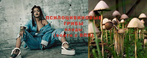 метамфетамин Белокуриха