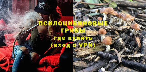 метамфетамин Белокуриха