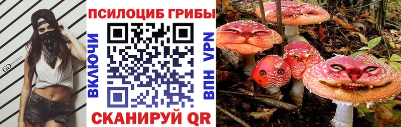Псилоцибиновые грибы Psilocybine cubensis  наркошоп  KRAKEN ссылки  Краснотурьинск 